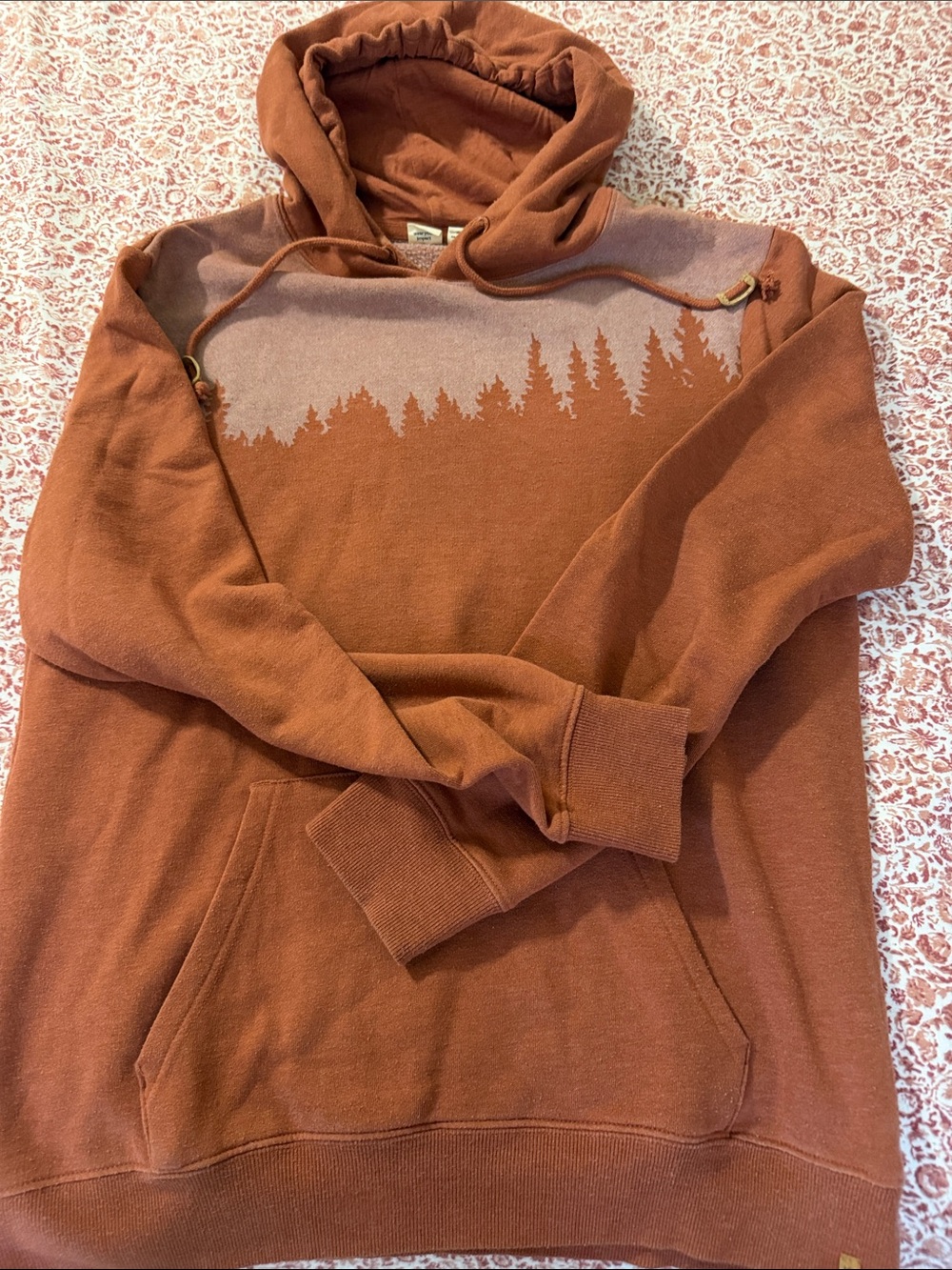 tentree Men's Rust Brown Hoodie with Tree Line Graphic